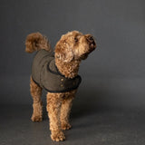 Merchant & Mills - The Barka Dog Coat - PDF Pattern