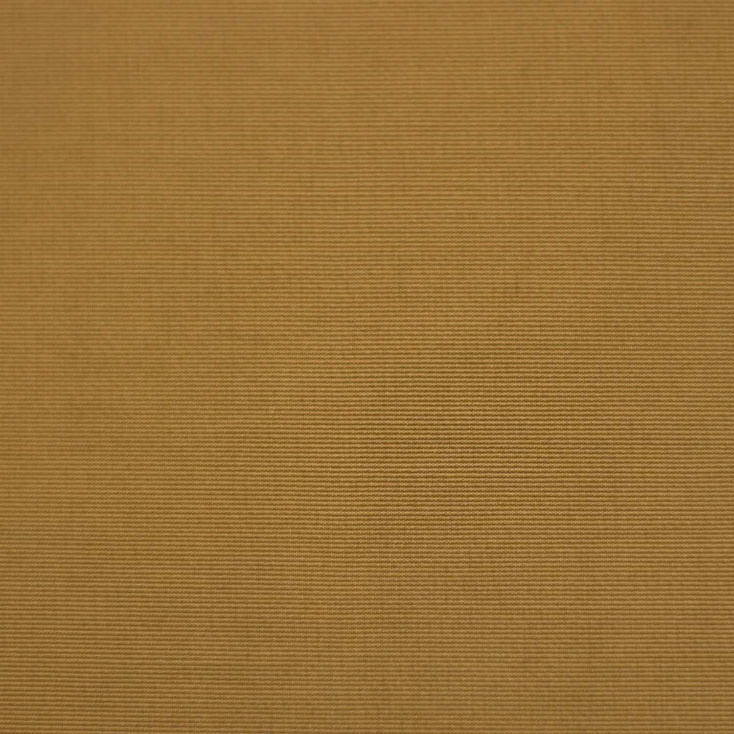 Cotton/Nylon Technical Grosgrain - Brass