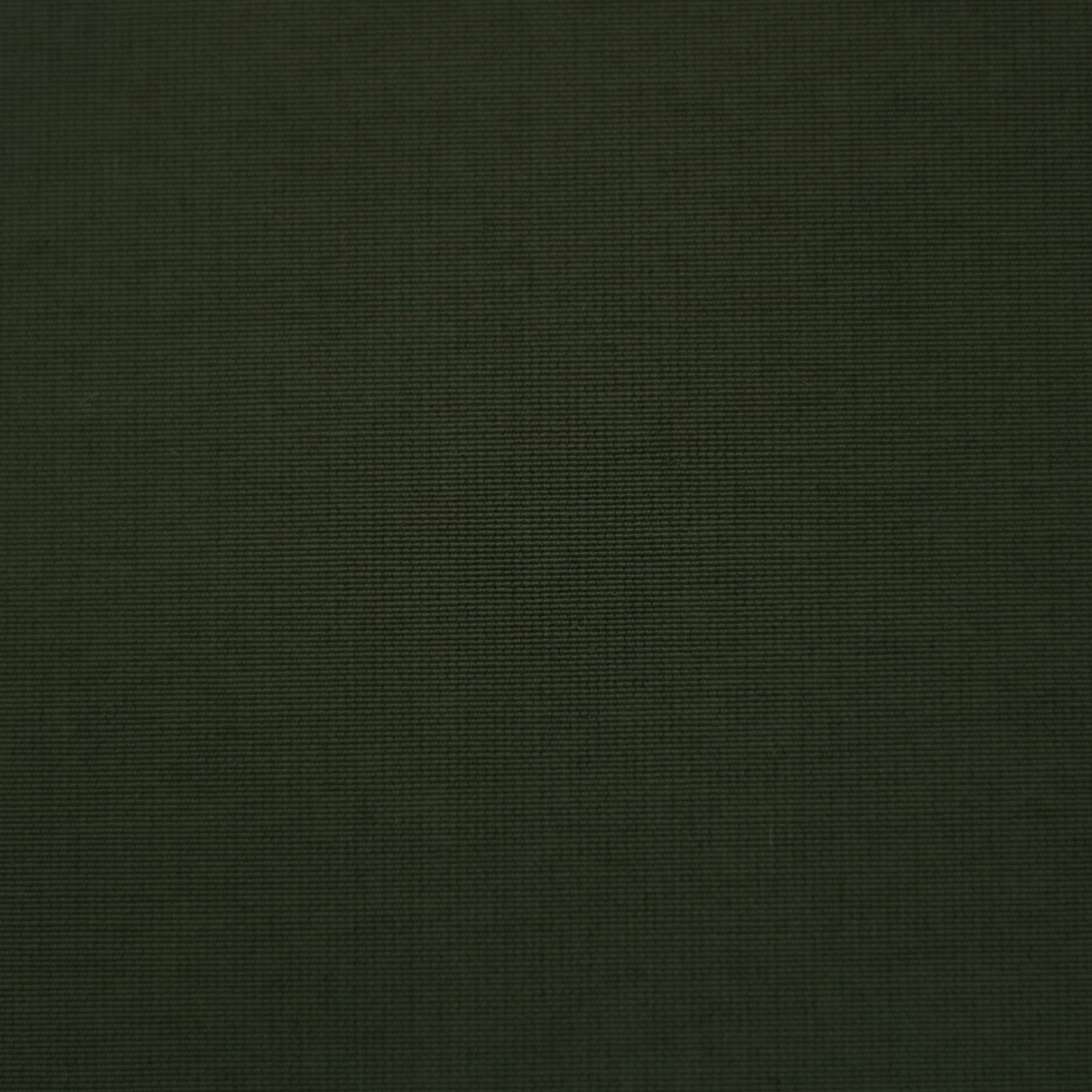 Cotton/Nylon Technical Grosgrain - Moss