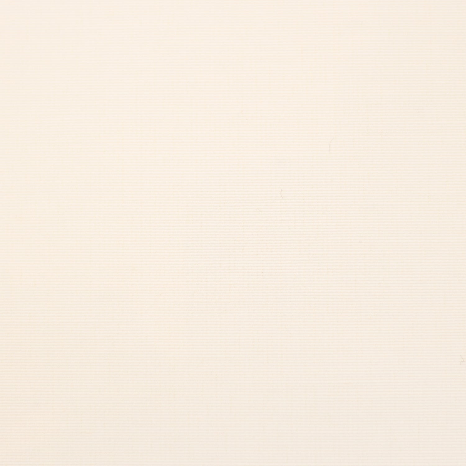 Cotton/Nylon Technical Grosgrain - Pearl