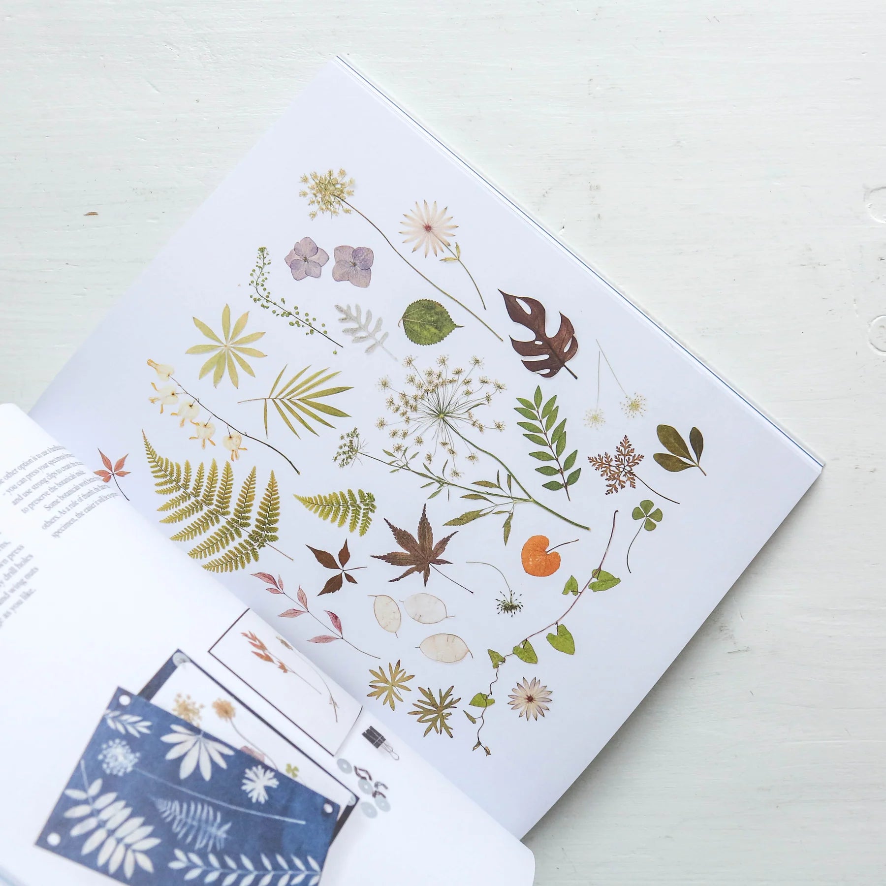 Cyanotype - Learn in a Weekend by Victoria Glover