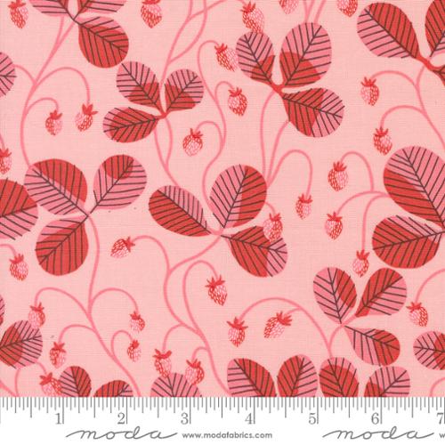 Printed Cotton Poplin - Love Letter for Moda - Light Pink