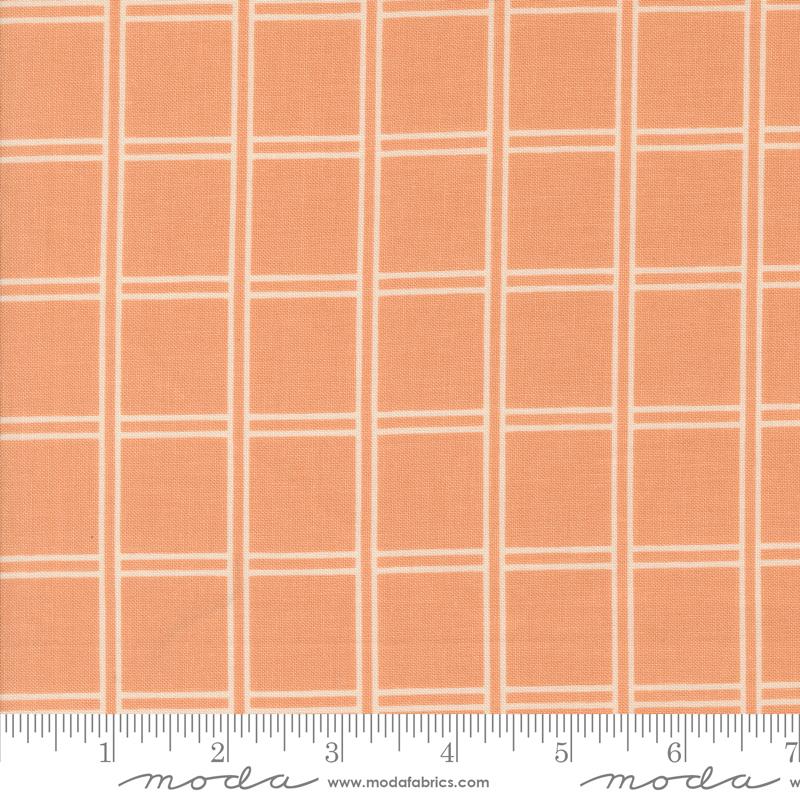 Printed Cotton Poplin - Rainier - Checks - Peach
