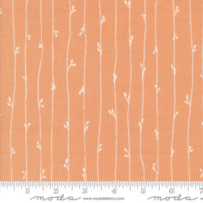Printed Cotton Poplin - Rainier - Budding Stripes - Peach