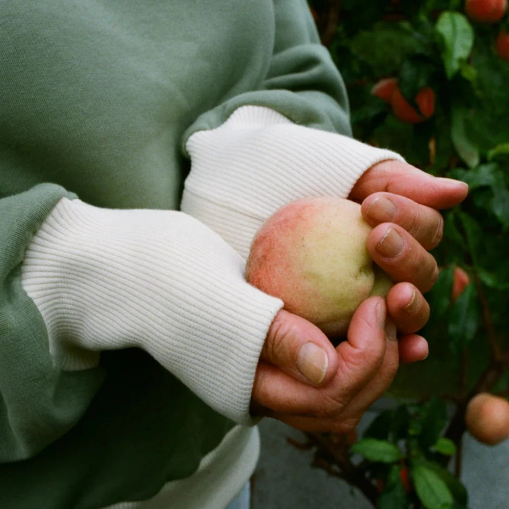 Modern Sewing Company - Rib Sweater - PDF Pattern