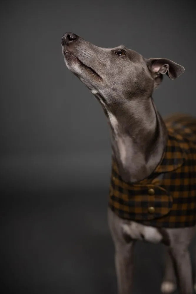 Merchant & Mills - Organic Cotton Oilskin - Ginger Biscuit