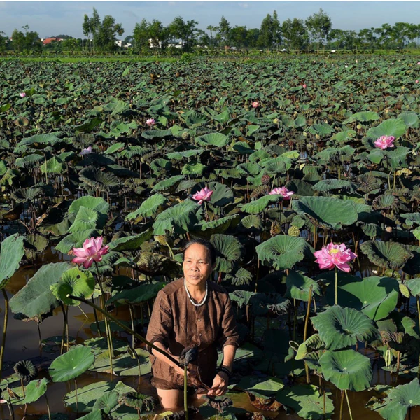 Selvedge Magazine - Issue 118 - Hand In Hand