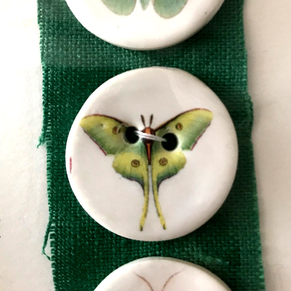 Porcelain Green Moth Buttons