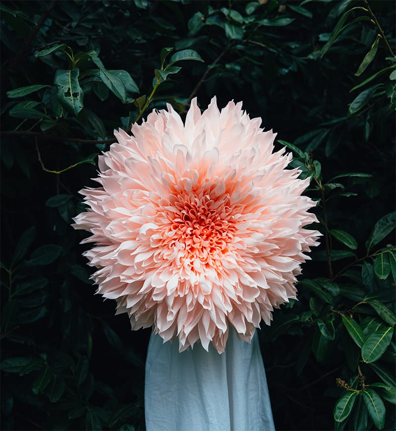 Selvedge Magazine - Issue 130 - Flower