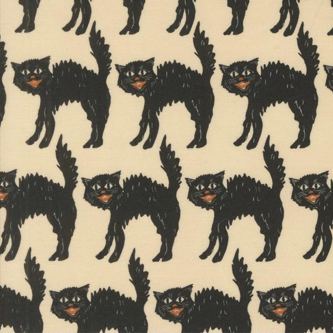 Printed Cotton Poplin - Home Sweet Haunt - Cats - Bone