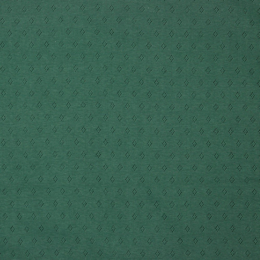 Cotton Pointelle Jersey - Forest