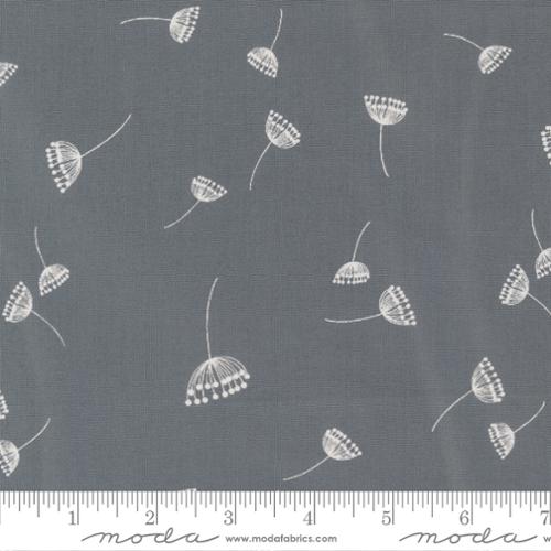 Printed Cotton Poplin - Filigree - Dandelions - Graphite