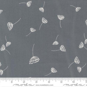 Printed Cotton Poplin - Filigree - Dandelions - Graphite