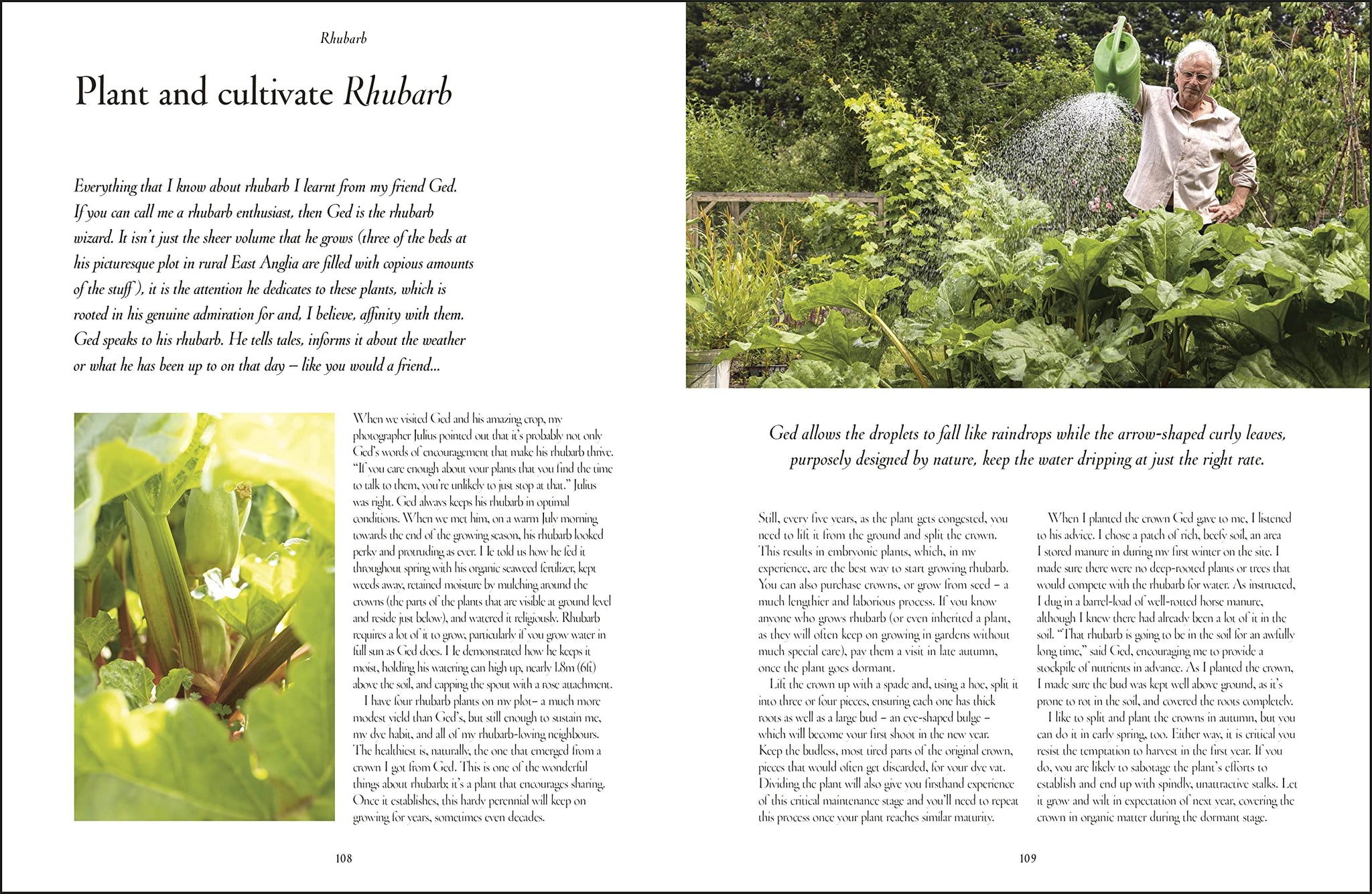 Grow, Cook, Dye, Wear: From seed to style the sustainable way by Bella Gonshorovitz