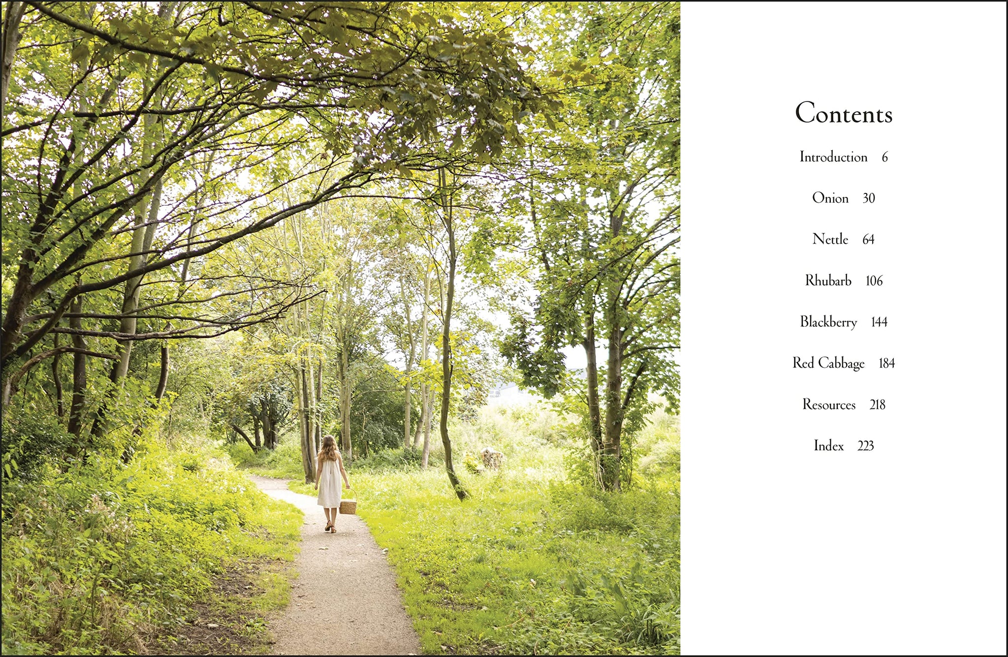 Grow, Cook, Dye, Wear: From seed to style the sustainable way by Bella Gonshorovitz