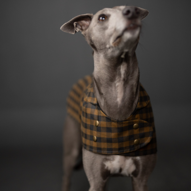 Merchant Mills The Barka Dog Coat PDF Pattern Ray Stitch merchant-mills-the-barka-dog-coat-pdf-pattern-ray-stitch